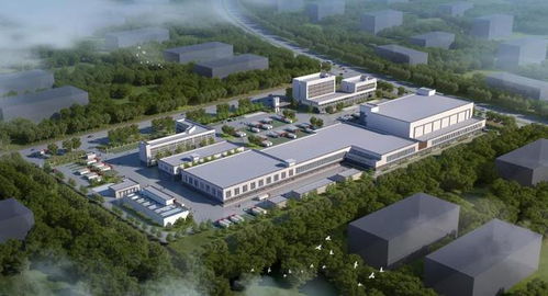 新柳南屠宰廠 項目開工奠基儀式隆重舉行